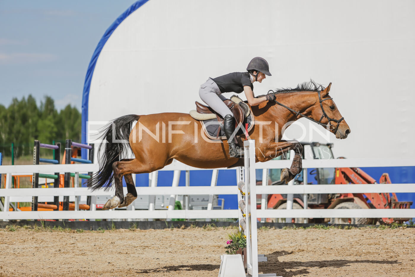 Gramina_Kevad_2026_110_535