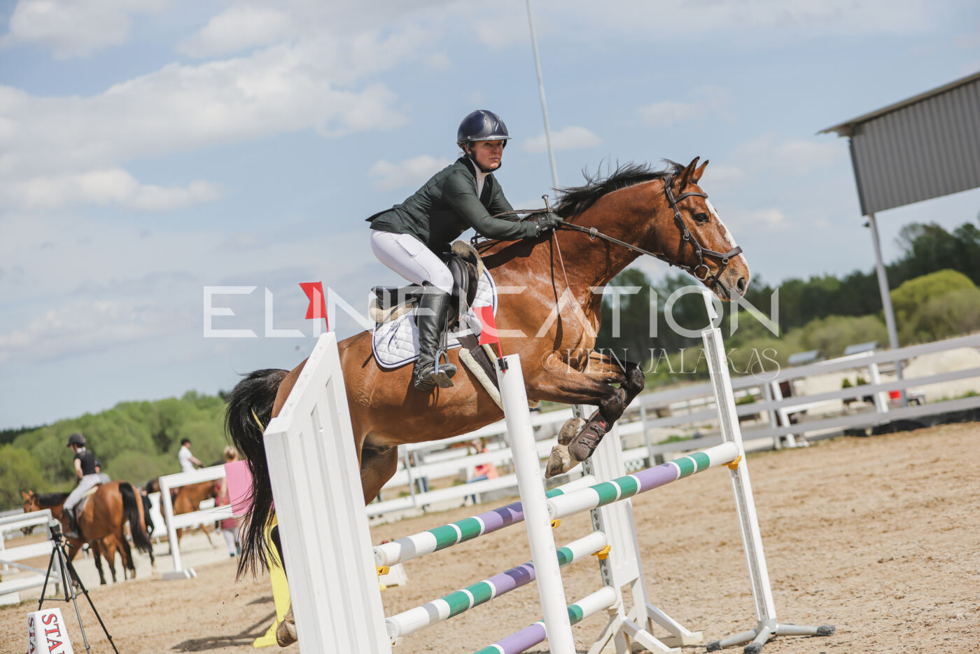 Gramina_Kevad_2026_110_537