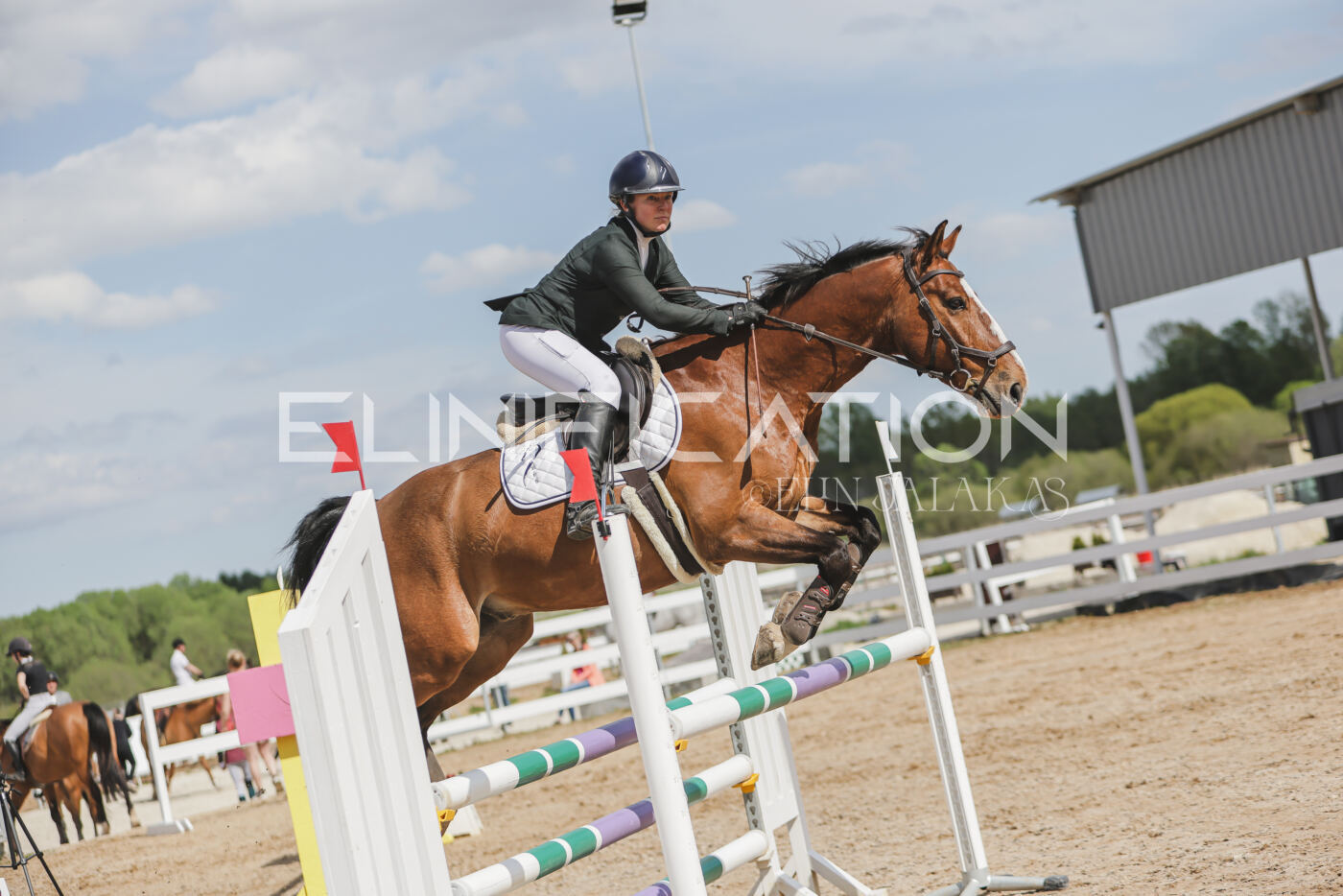 Gramina_Kevad_2026_110_538