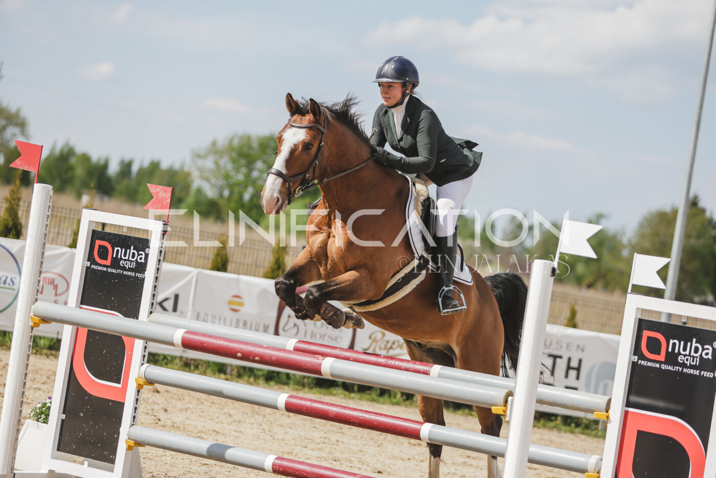 Gramina_Kevad_2026_110_544