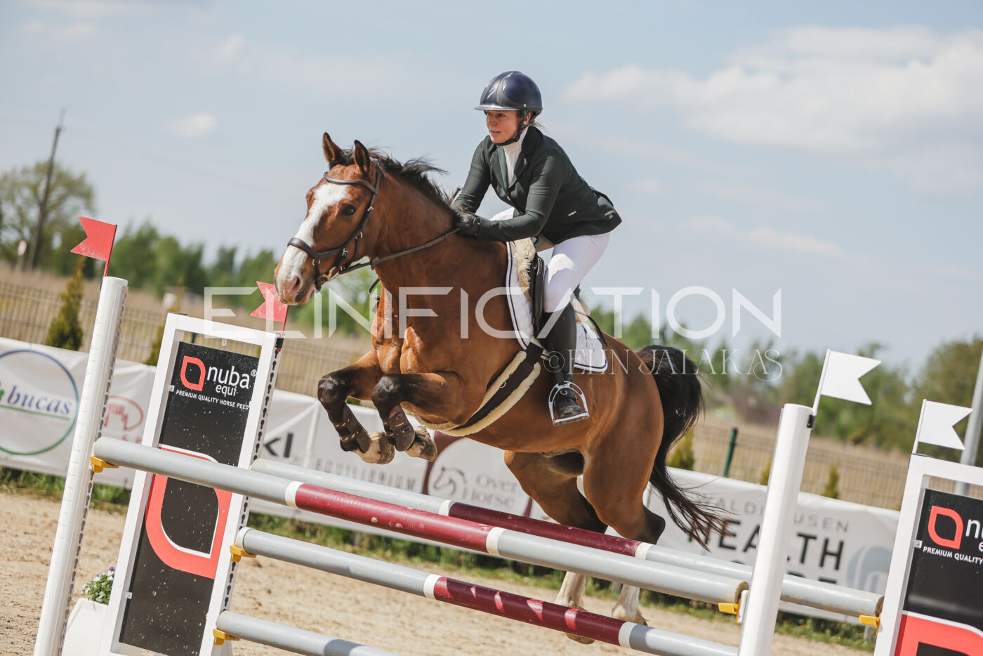 Gramina_Kevad_2026_110_546