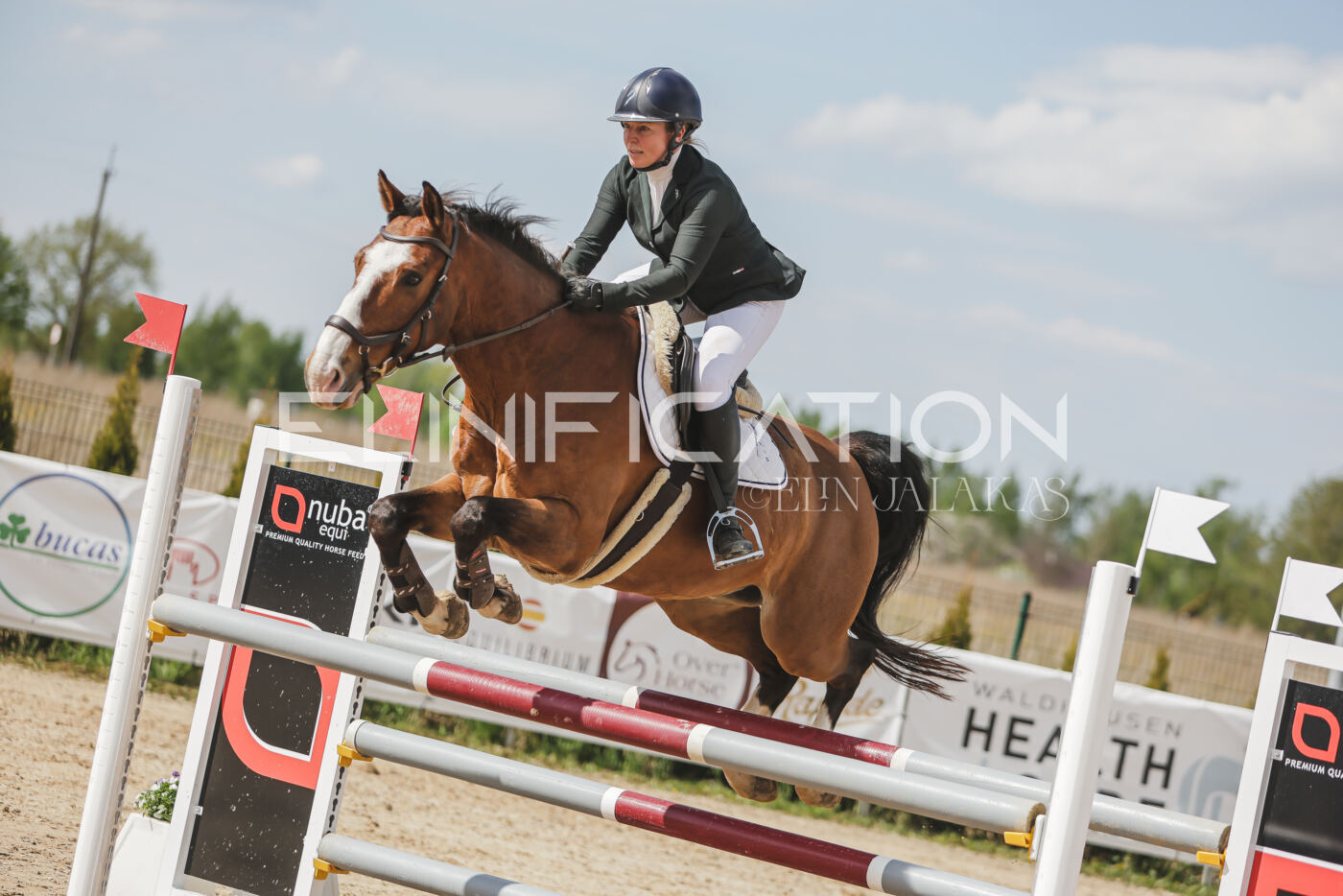 Gramina_Kevad_2026_110_547