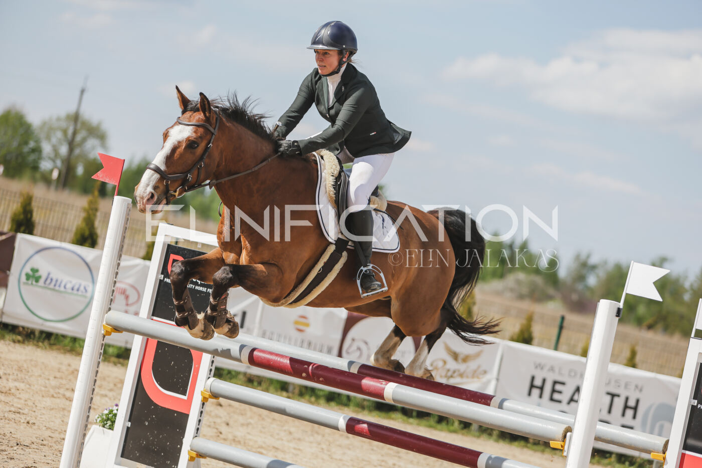 Gramina_Kevad_2026_110_548
