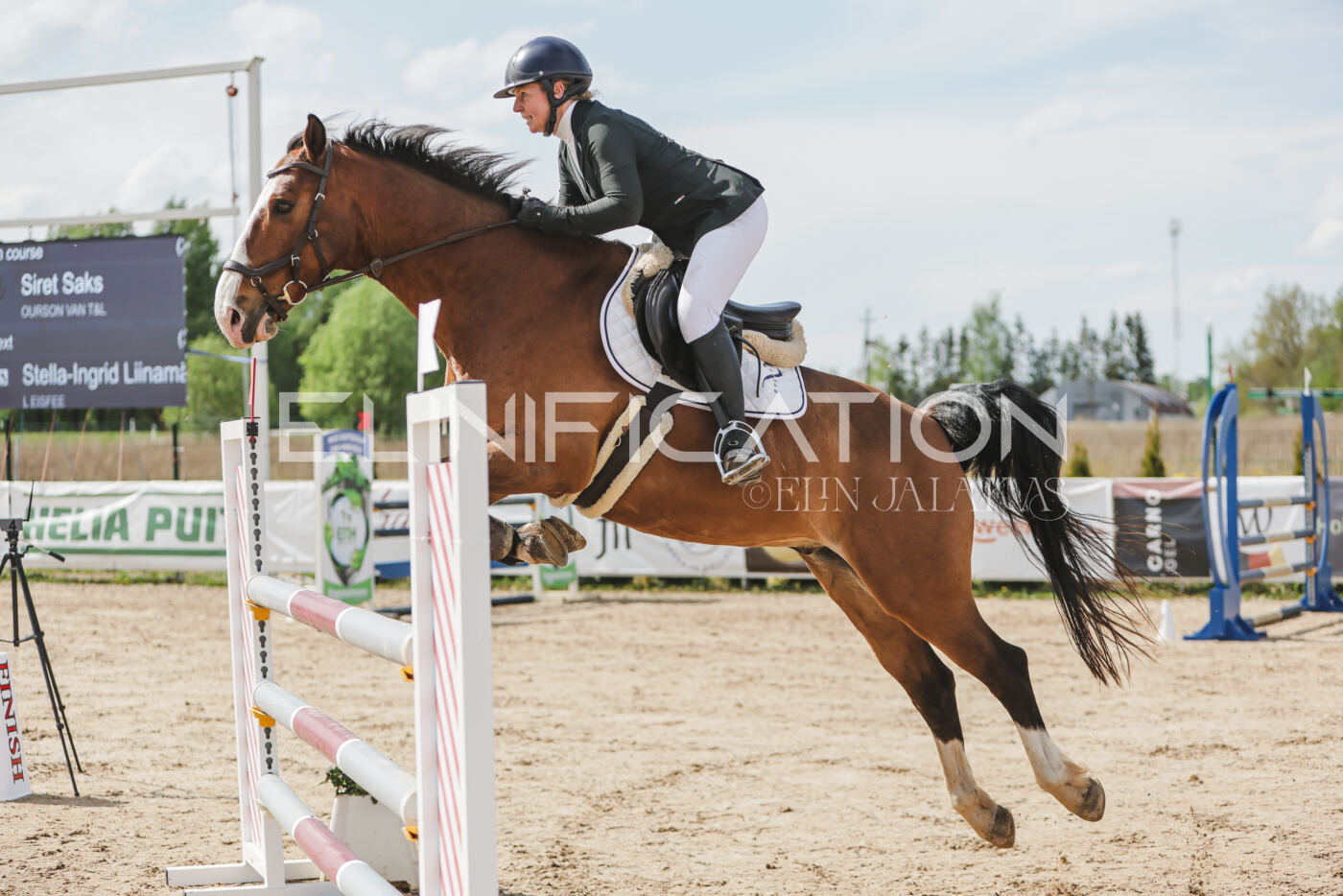 Gramina_Kevad_2026_110_549