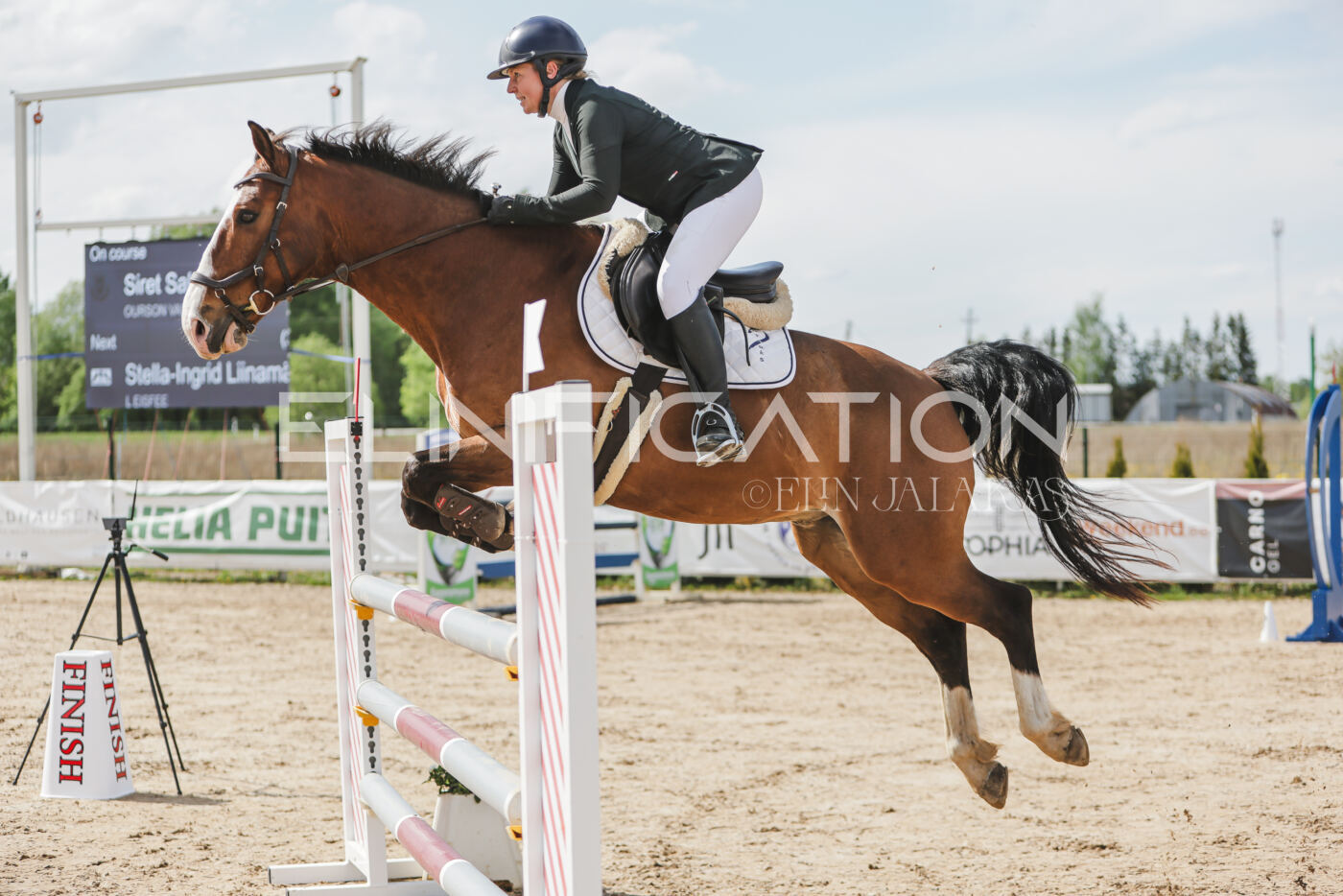 Gramina_Kevad_2026_110_550