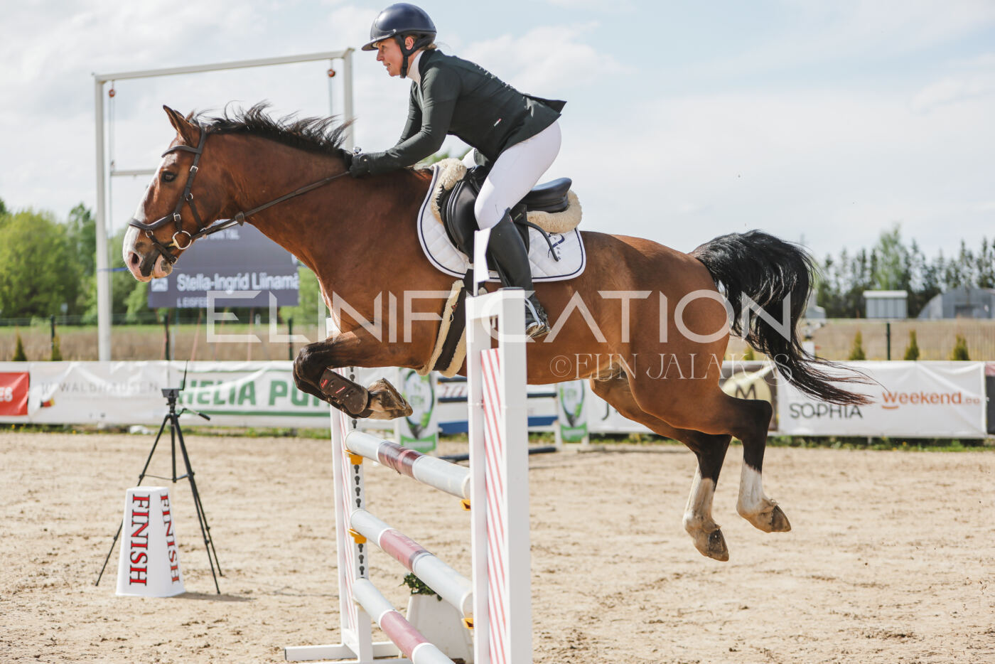 Gramina_Kevad_2026_110_551