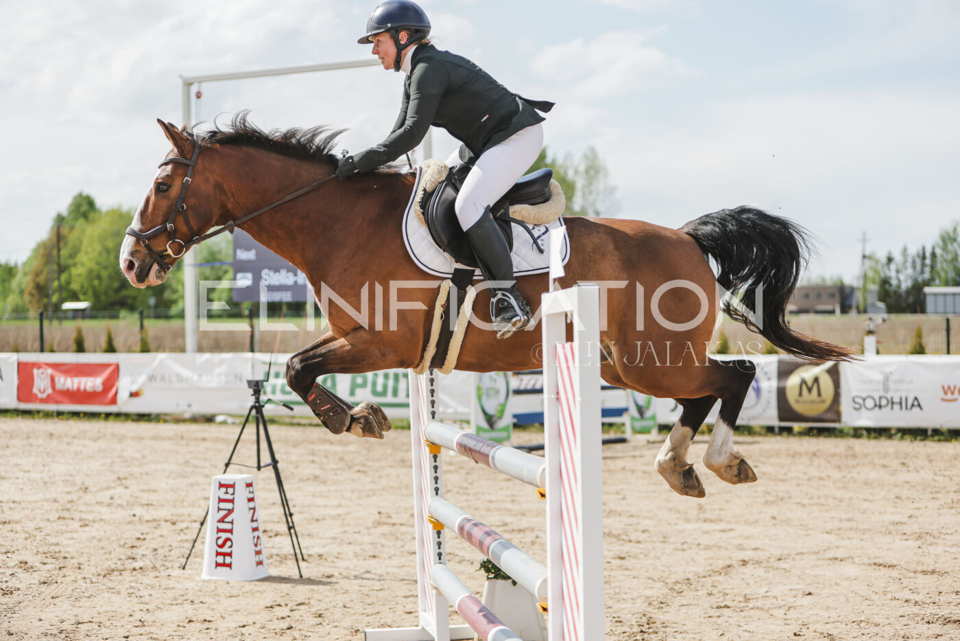 Gramina_Kevad_2026_110_552
