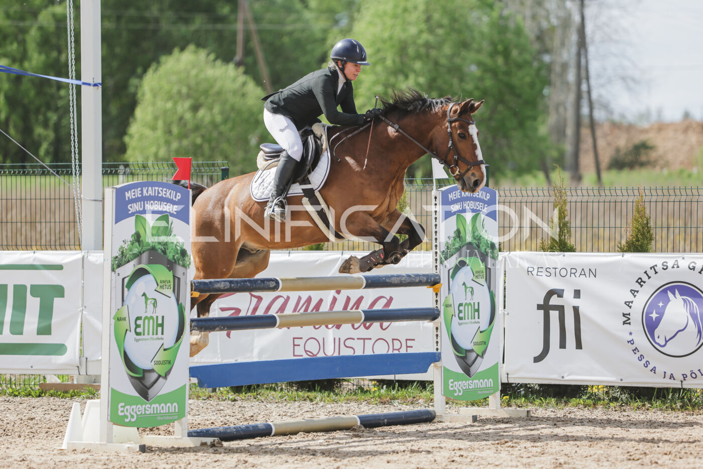Gramina_Kevad_2026_110_554