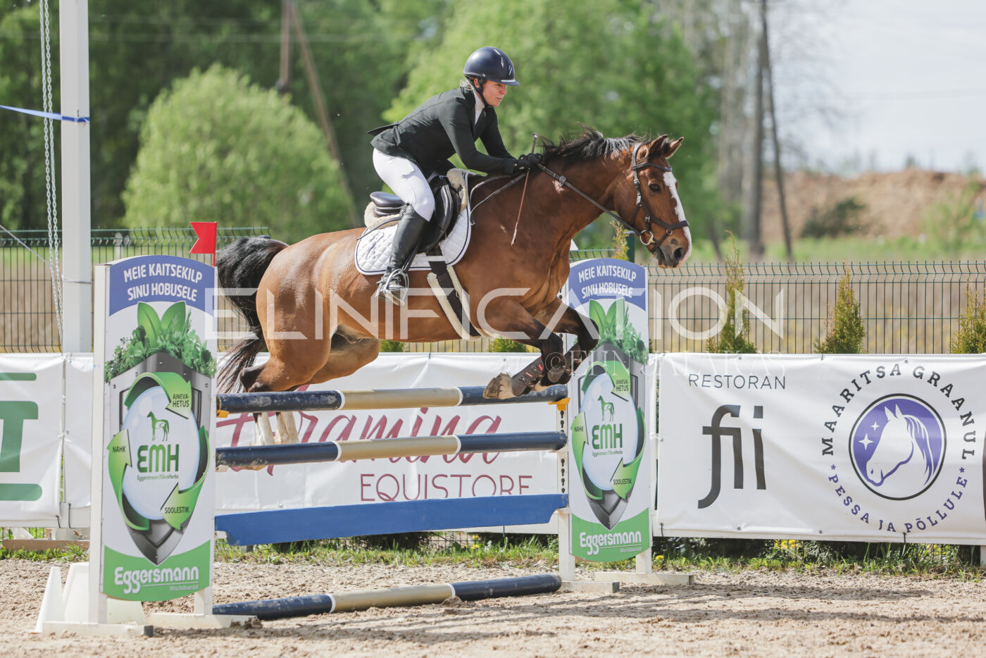 Gramina_Kevad_2026_110_555