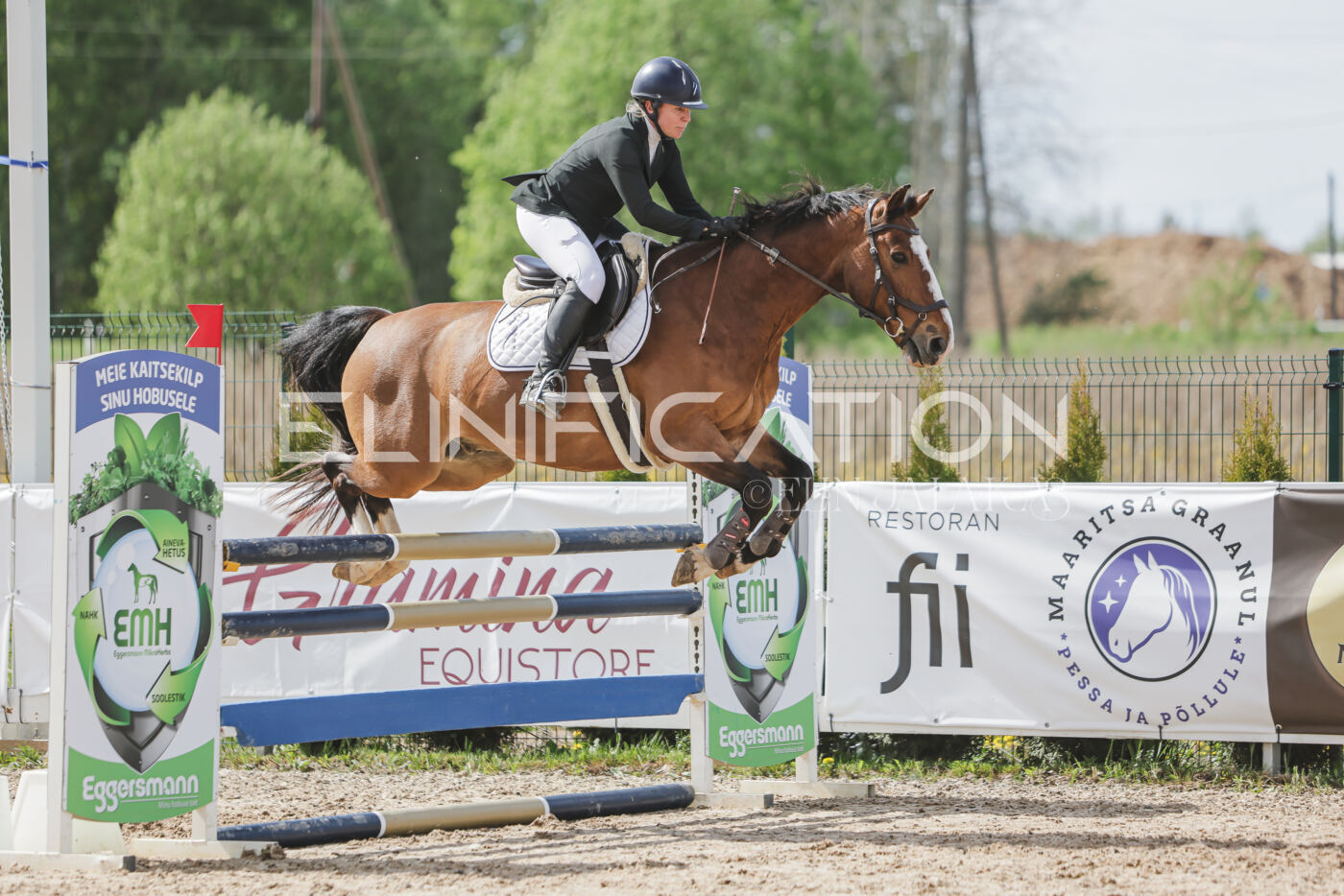 Gramina_Kevad_2026_110_556