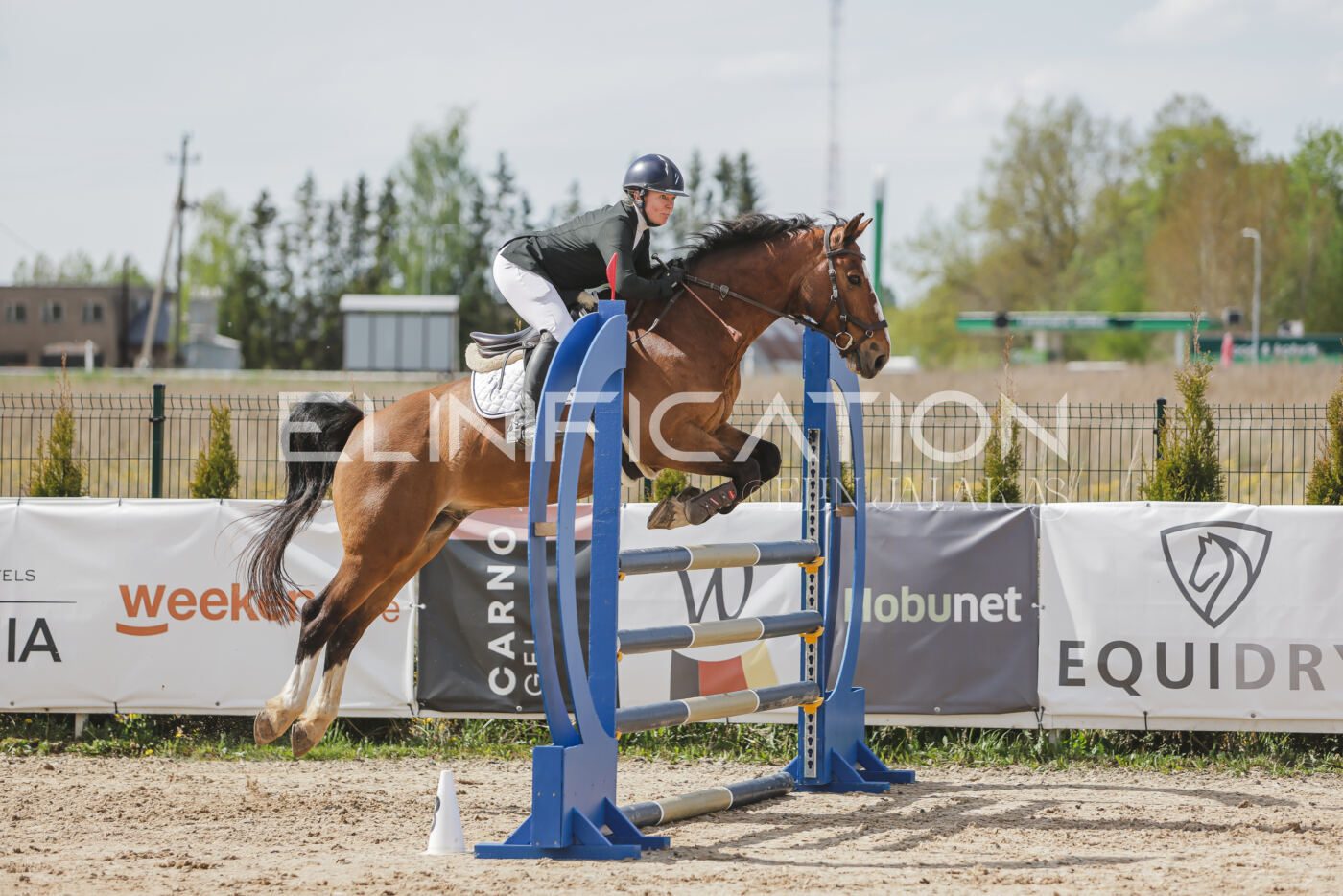 Gramina_Kevad_2026_110_557