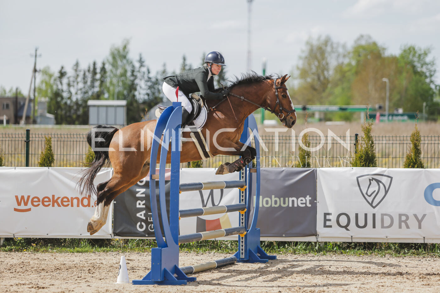 Gramina_Kevad_2026_110_558