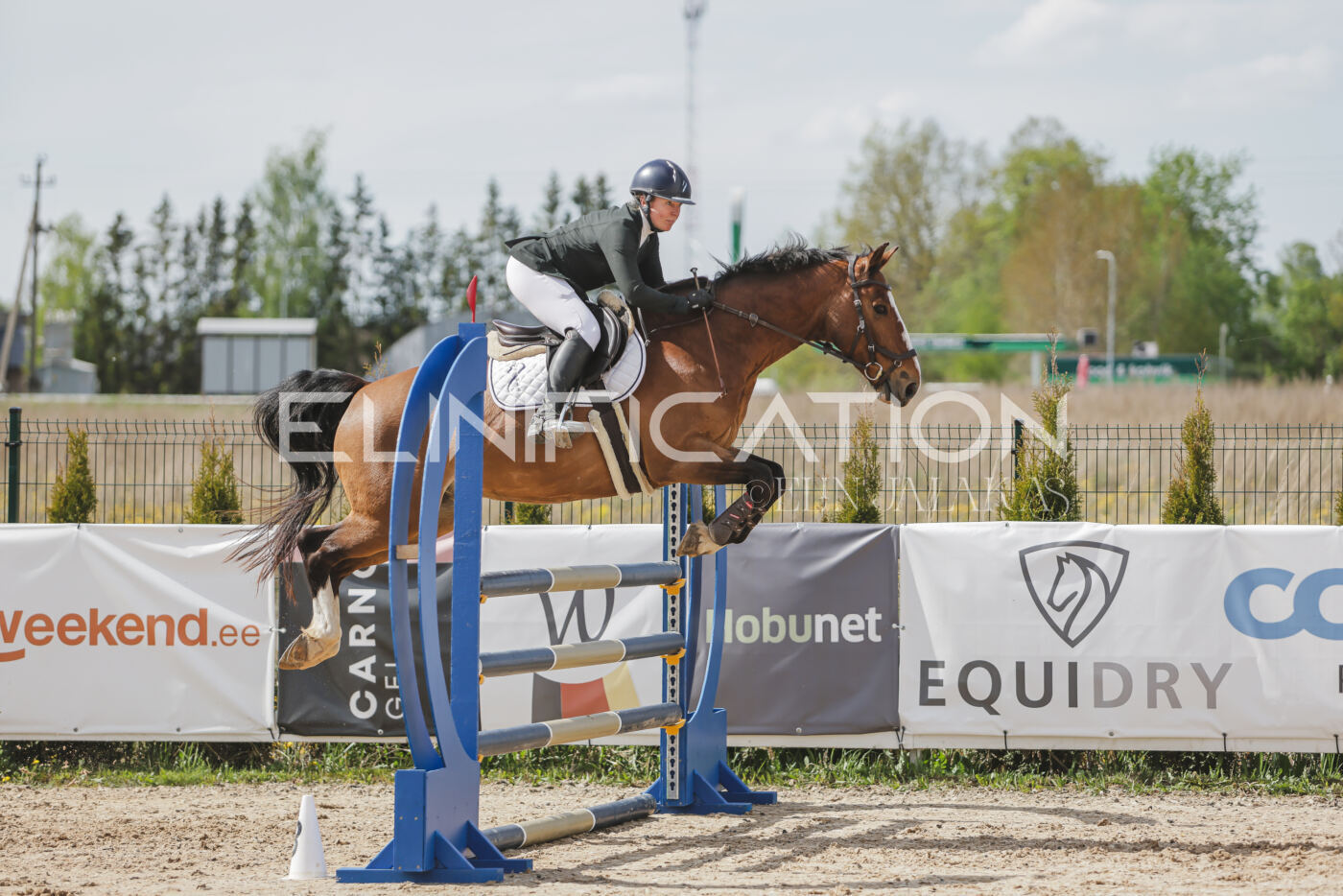Gramina_Kevad_2026_110_559