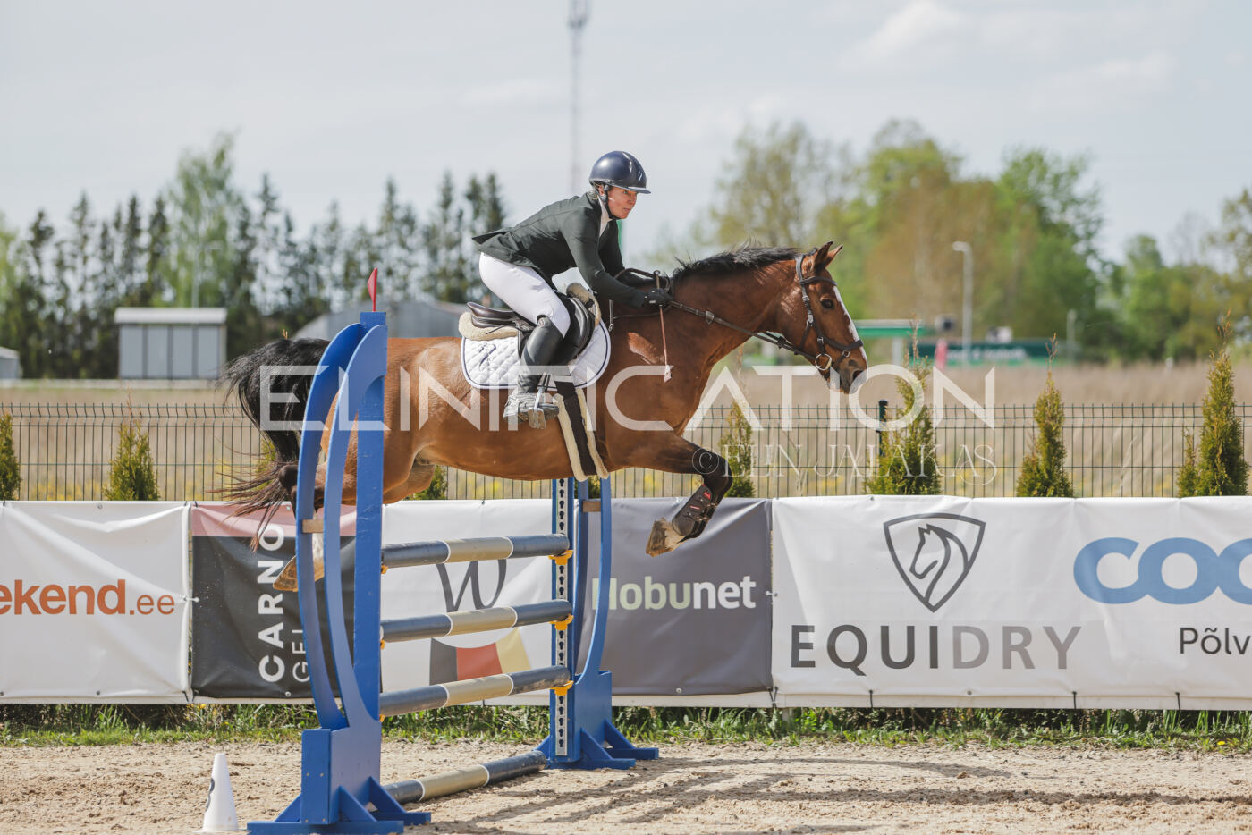 Gramina_Kevad_2026_110_560