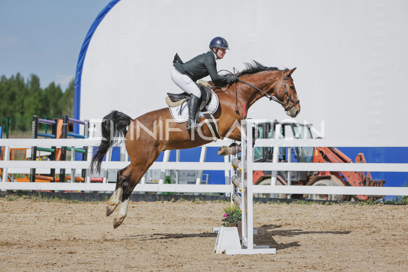 Gramina_Kevad_2026_110_561