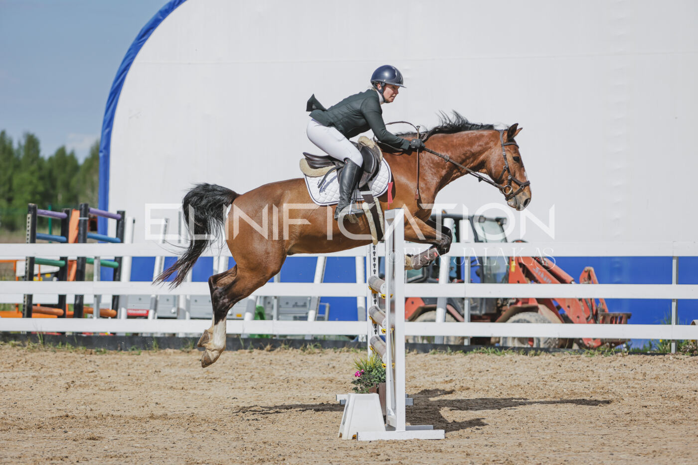 Gramina_Kevad_2026_110_562