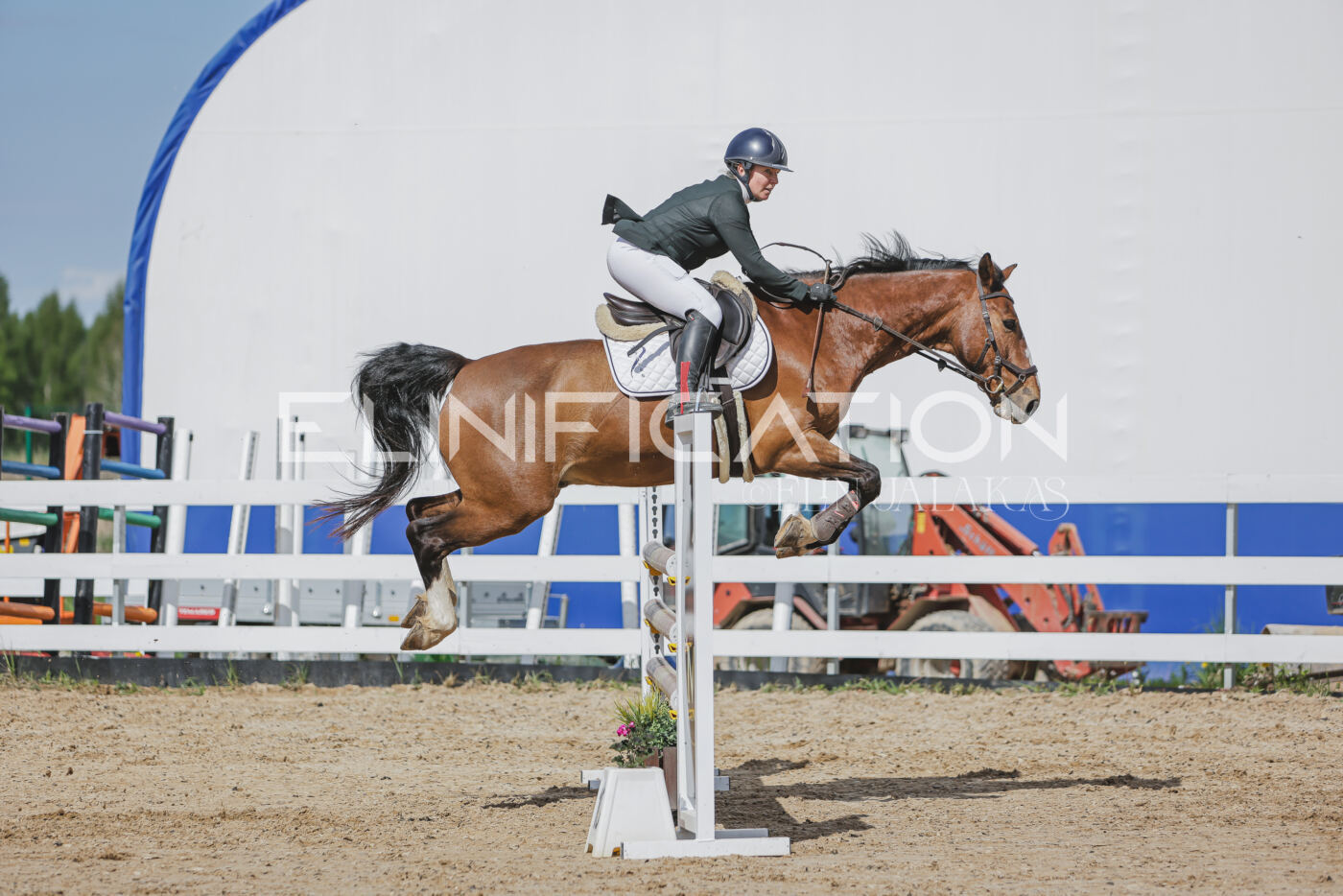 Gramina_Kevad_2026_110_563