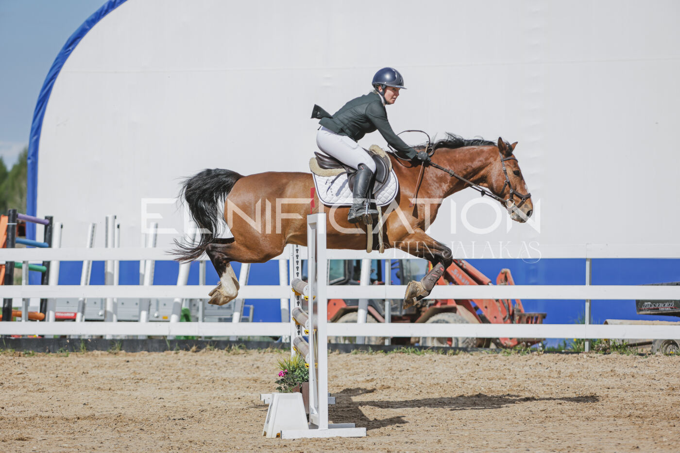 Gramina_Kevad_2026_110_564