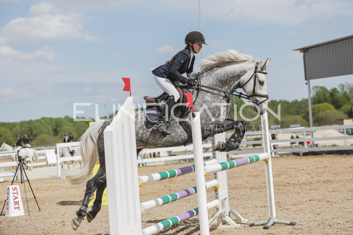 Gramina_Kevad_2026_110_566