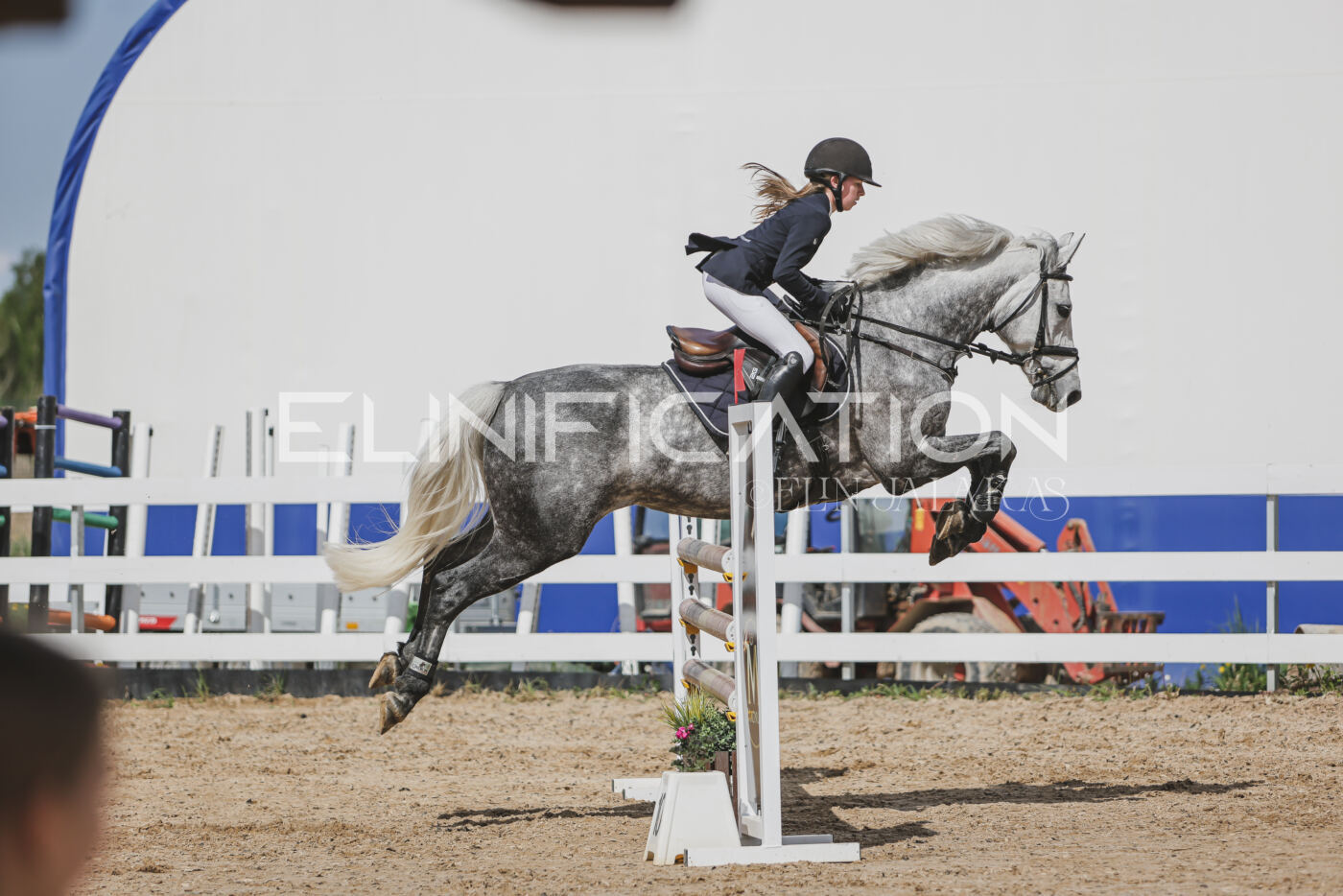 Gramina_Kevad_2026_110_569
