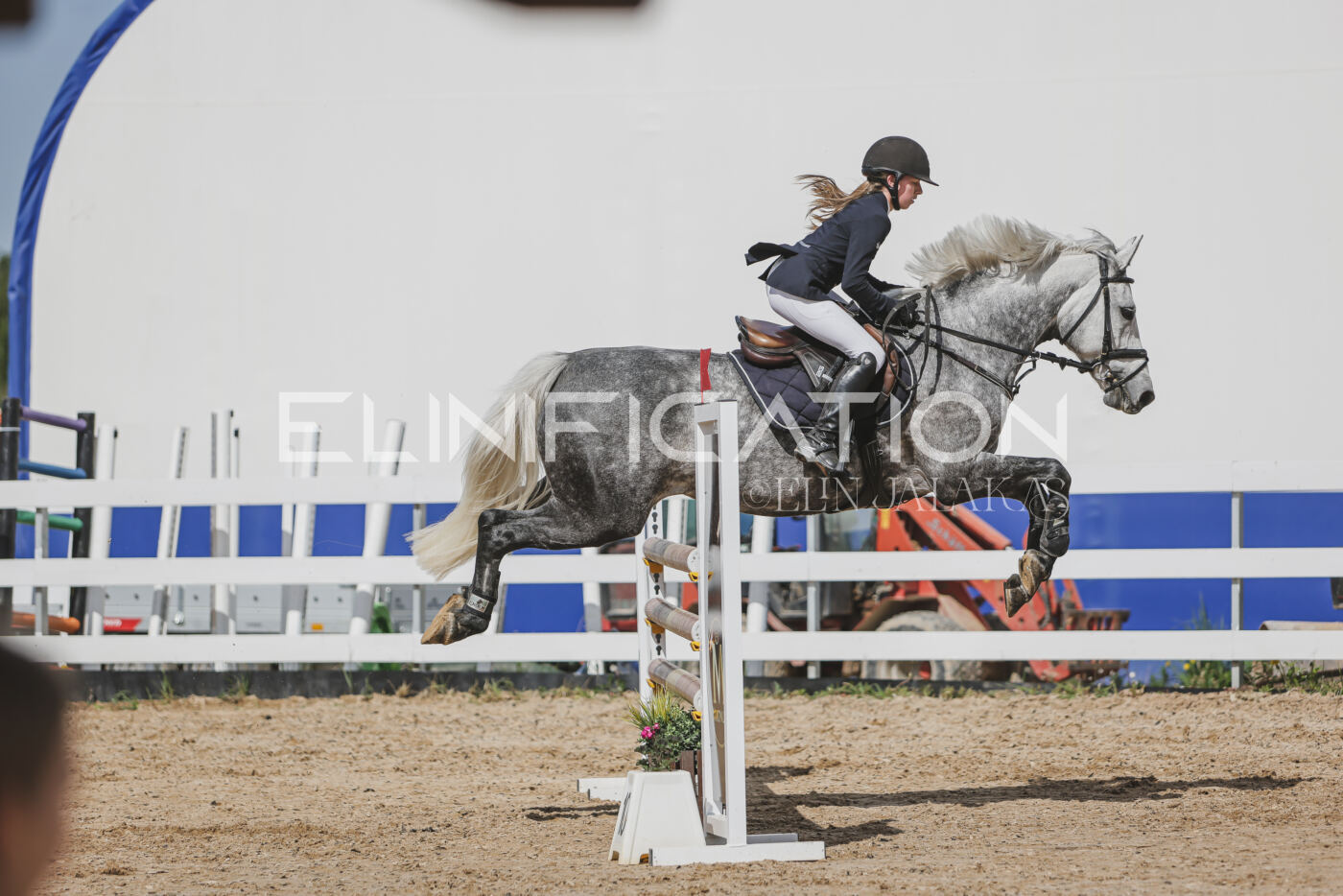 Gramina_Kevad_2026_110_570