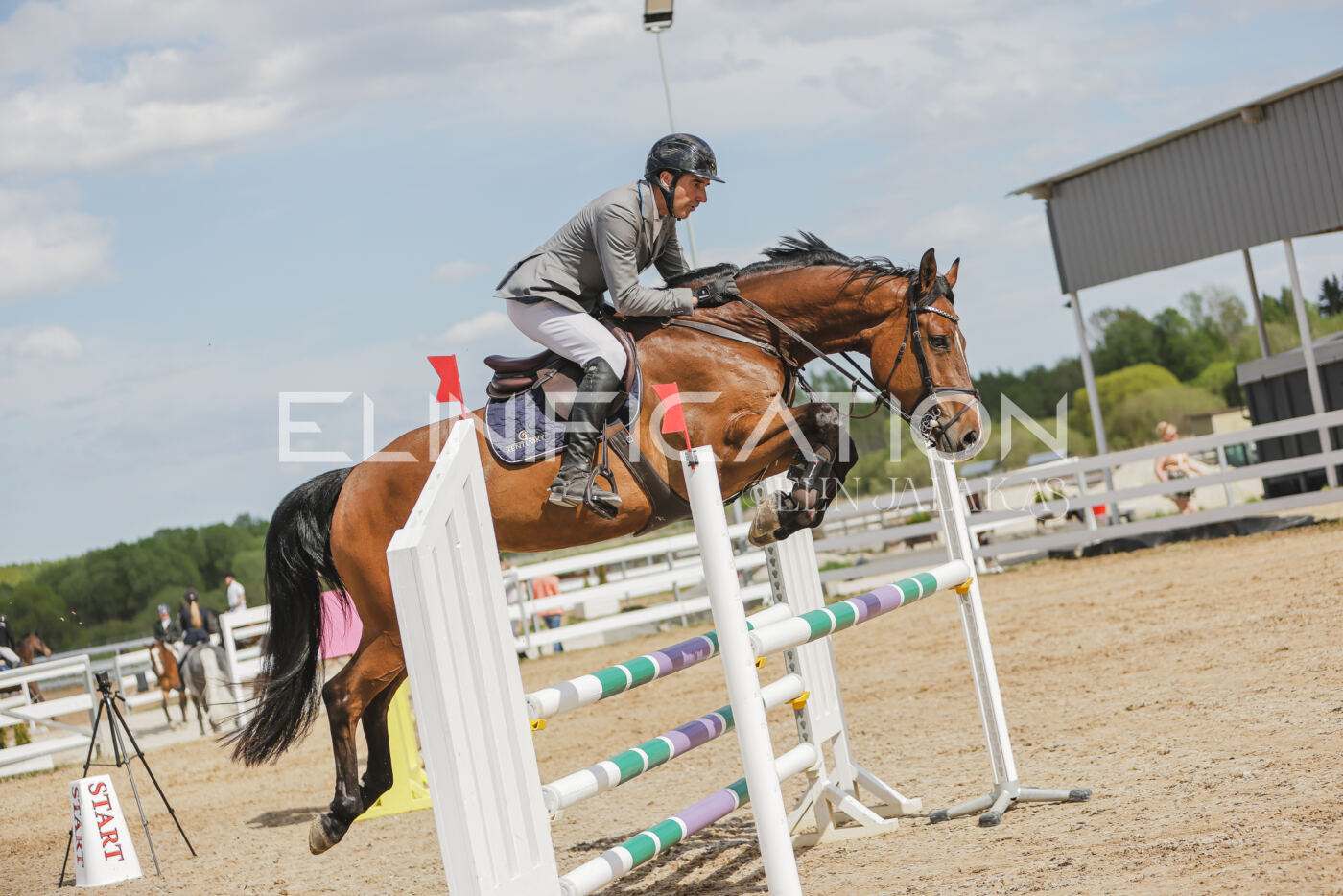 Gramina_Kevad_2026_110_571
