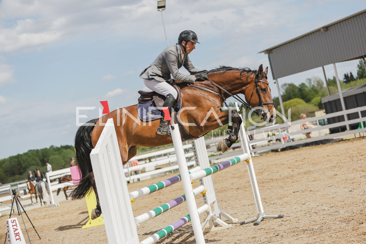 Gramina_Kevad_2026_110_572