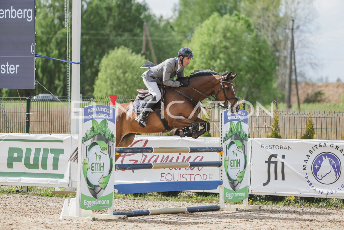 Gramina_Kevad_2026_110_573