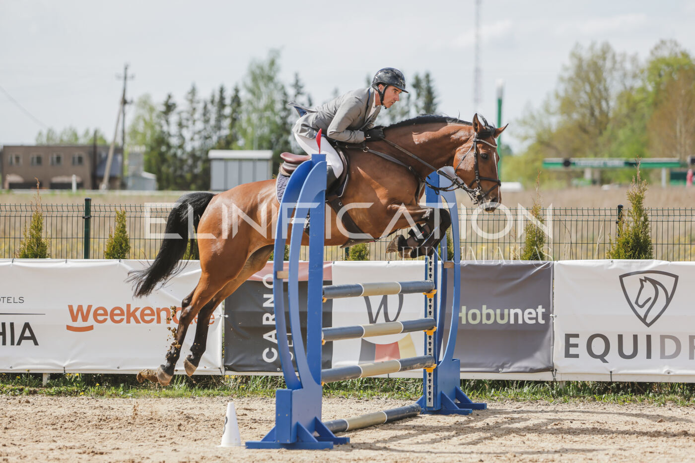 Gramina_Kevad_2026_110_577