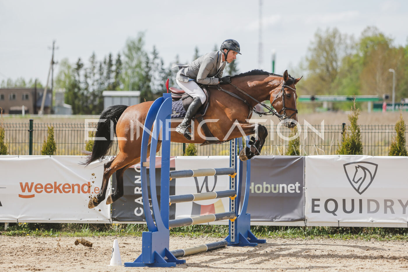 Gramina_Kevad_2026_110_578
