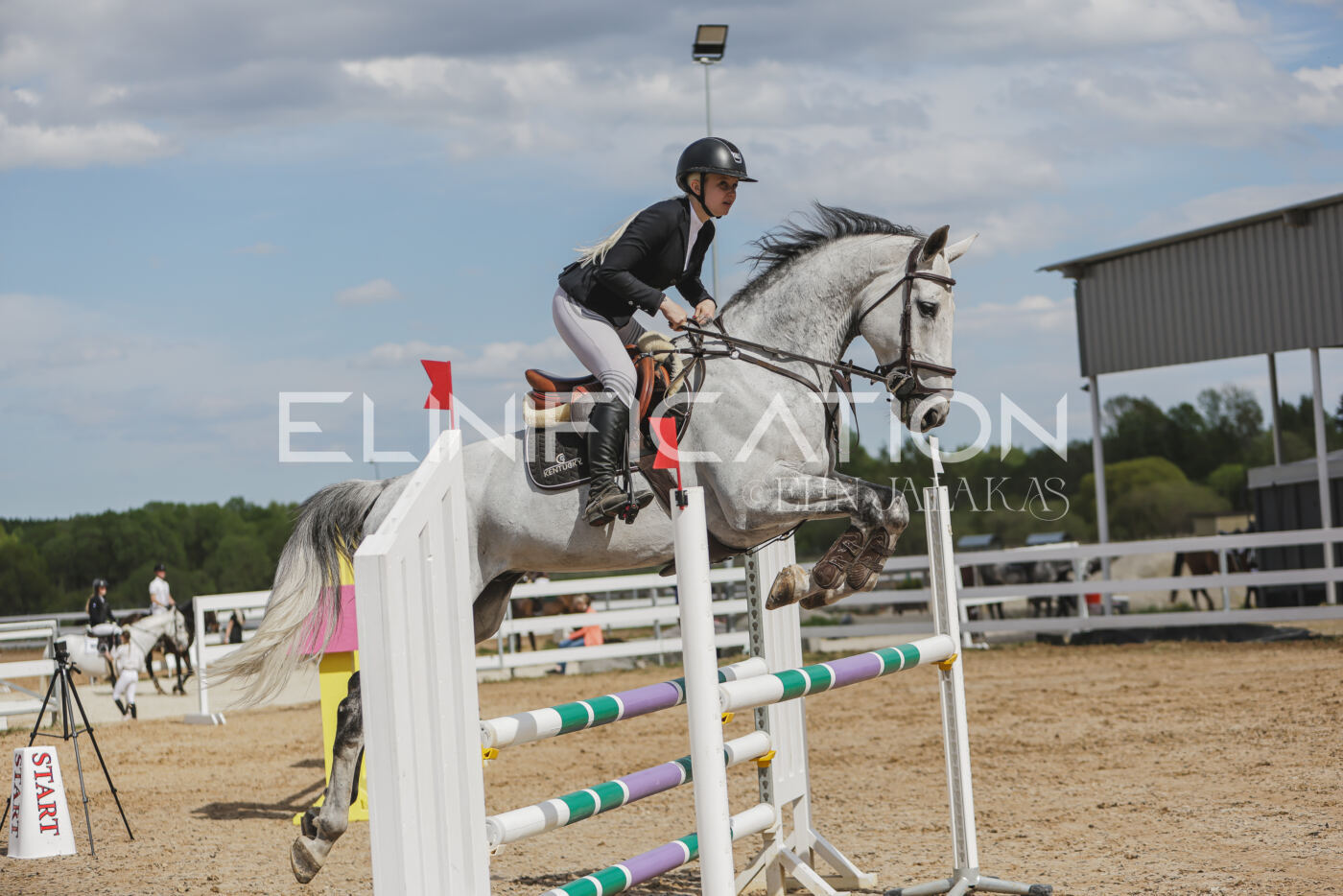 Gramina_Kevad_2026_110_579