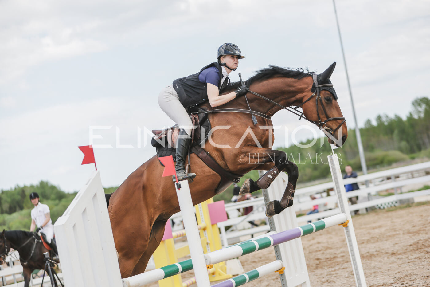 Gramina_Kevad_2026_110_586