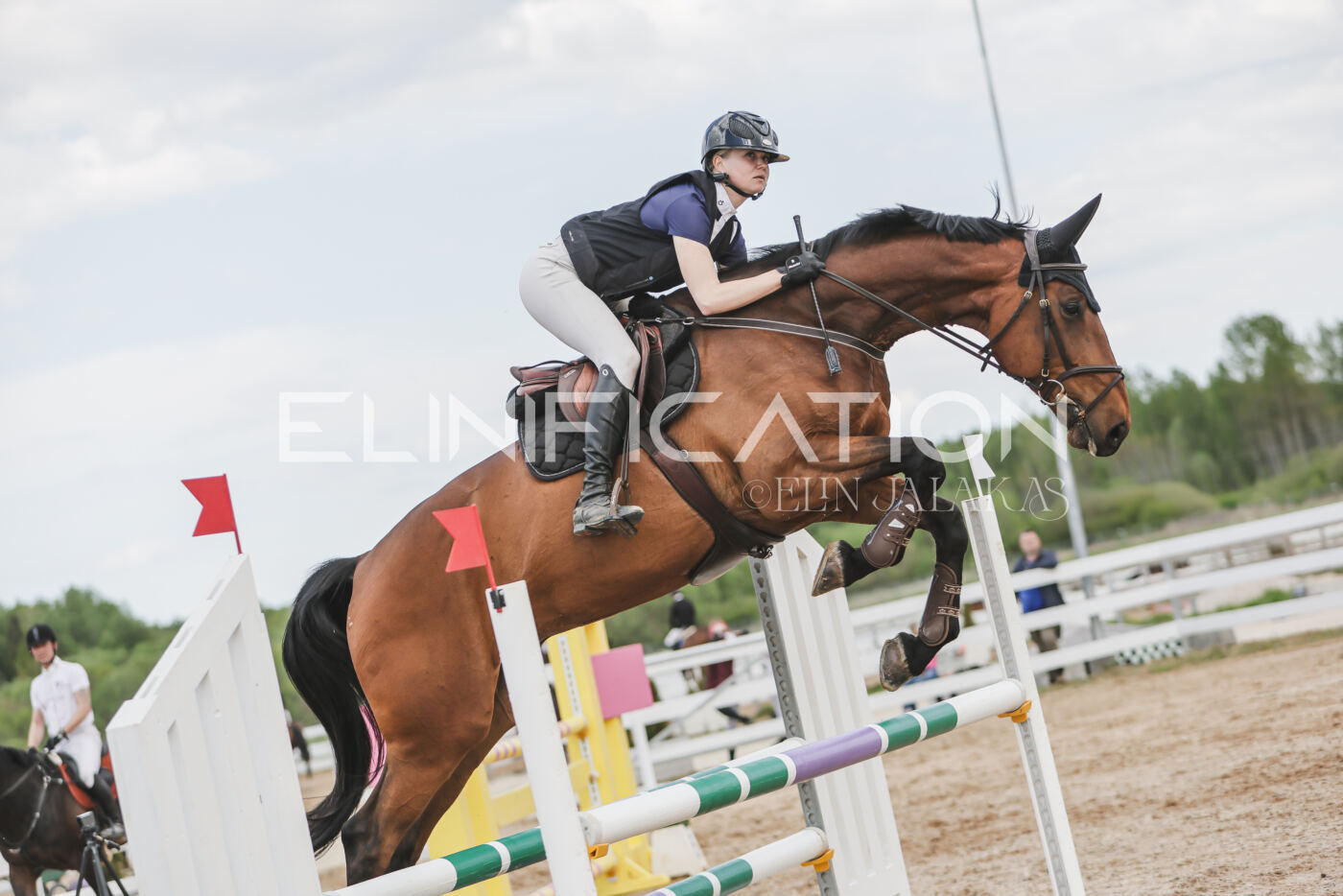 Gramina_Kevad_2026_110_587