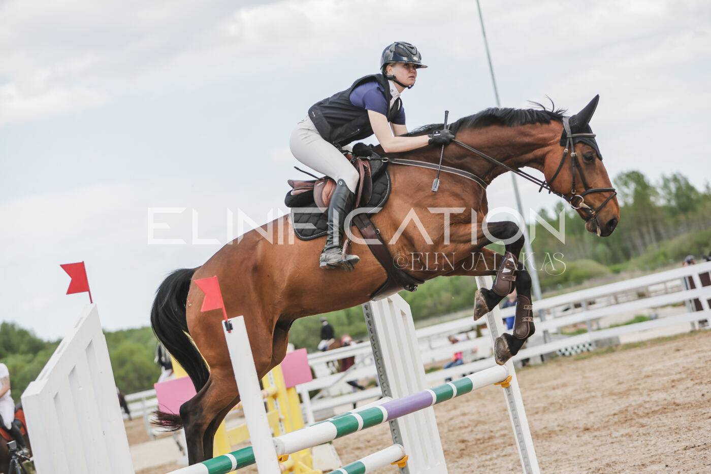 Gramina_Kevad_2026_110_588