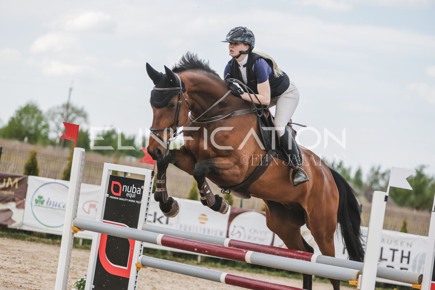 Gramina_Kevad_2026_110_596