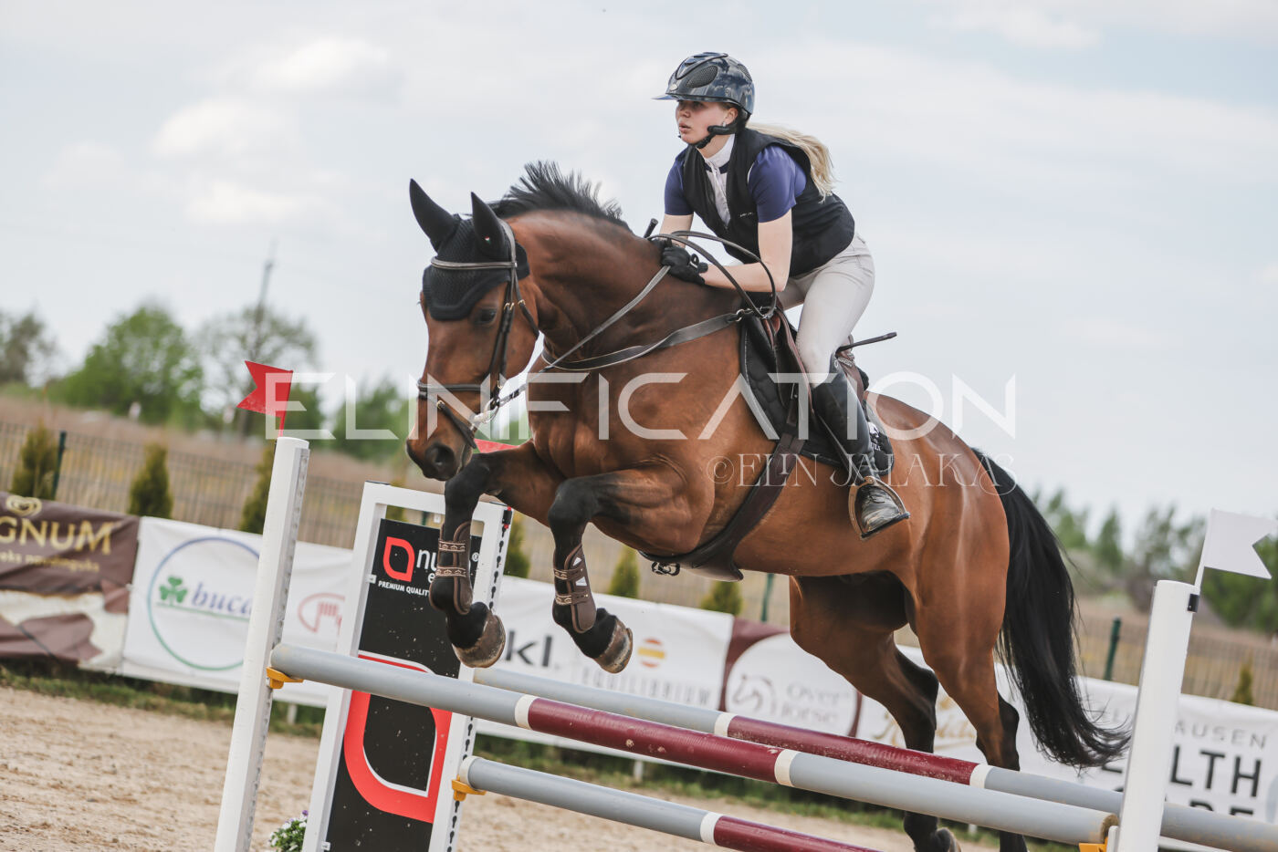 Gramina_Kevad_2026_110_597