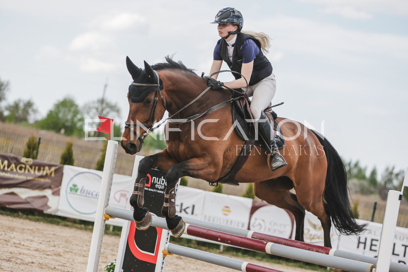 Gramina_Kevad_2026_110_598