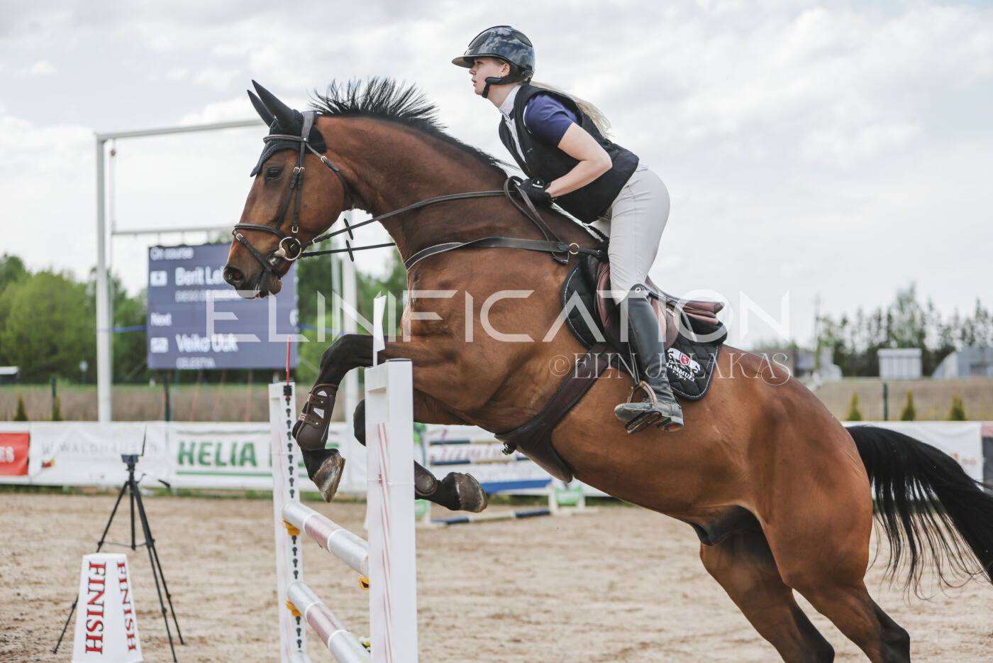 Gramina_Kevad_2026_110_599