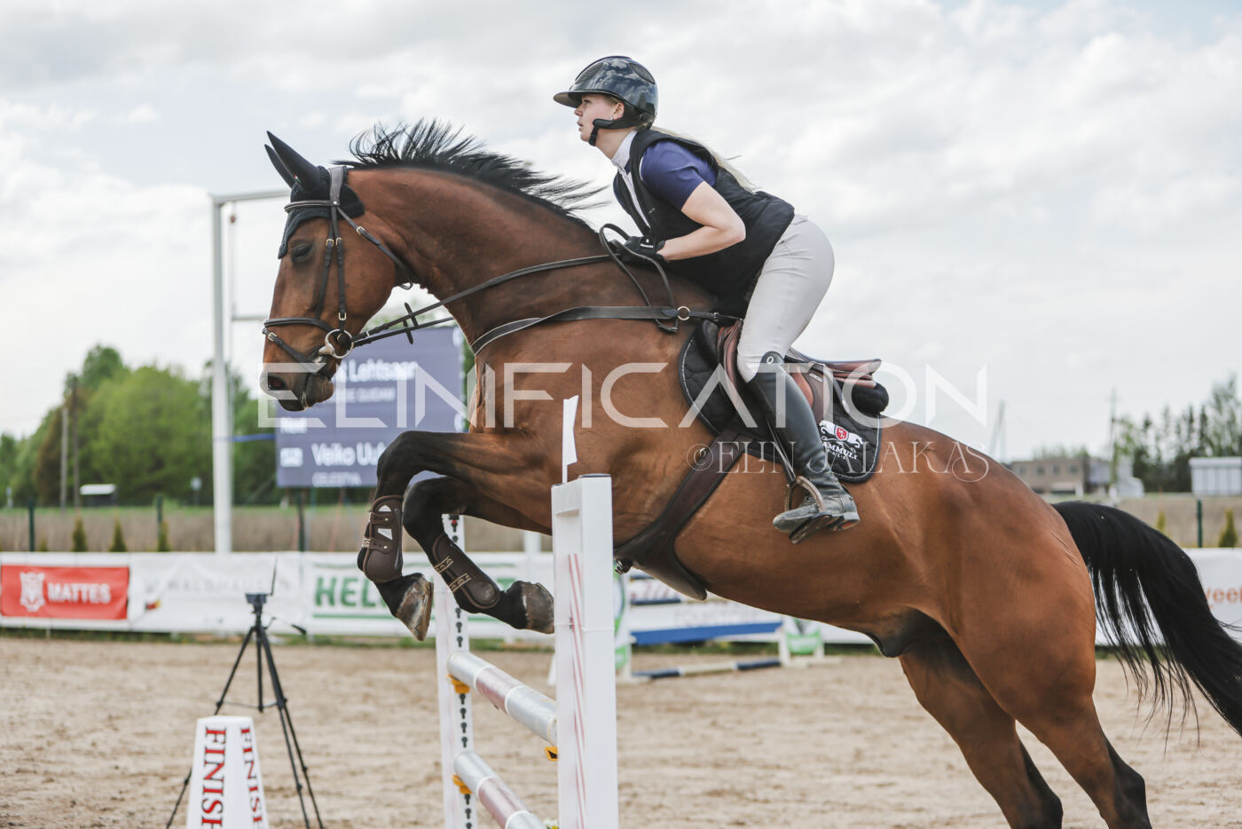 Gramina_Kevad_2026_110_600