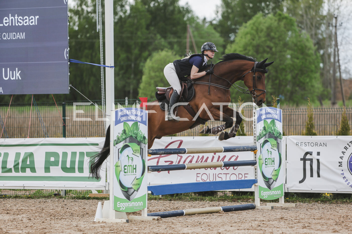 Gramina_Kevad_2026_110_601