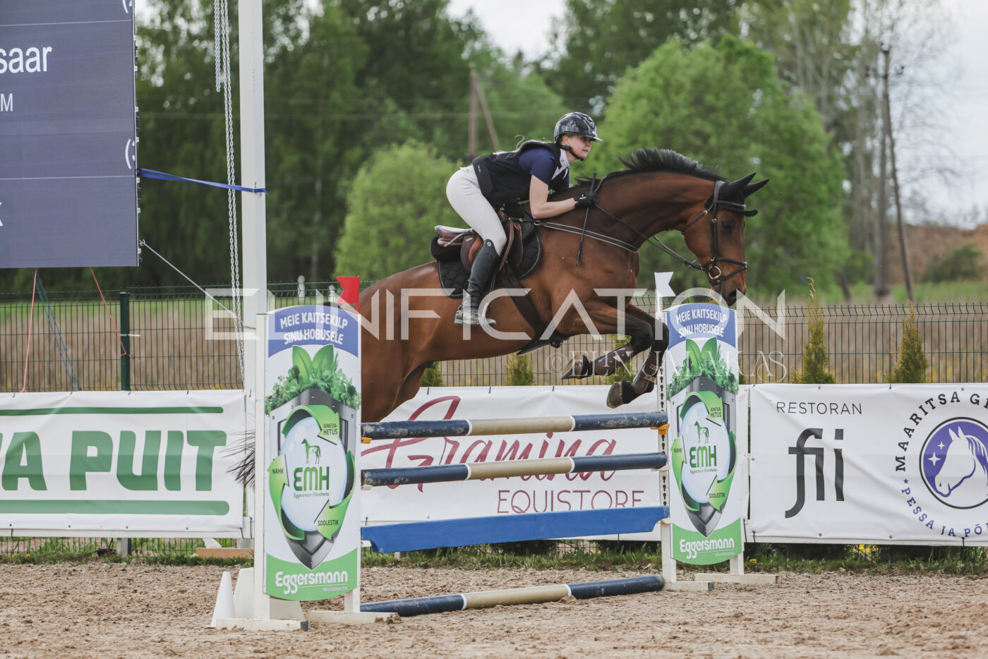 Gramina_Kevad_2026_110_602
