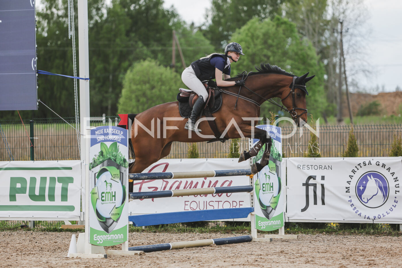 Gramina_Kevad_2026_110_603