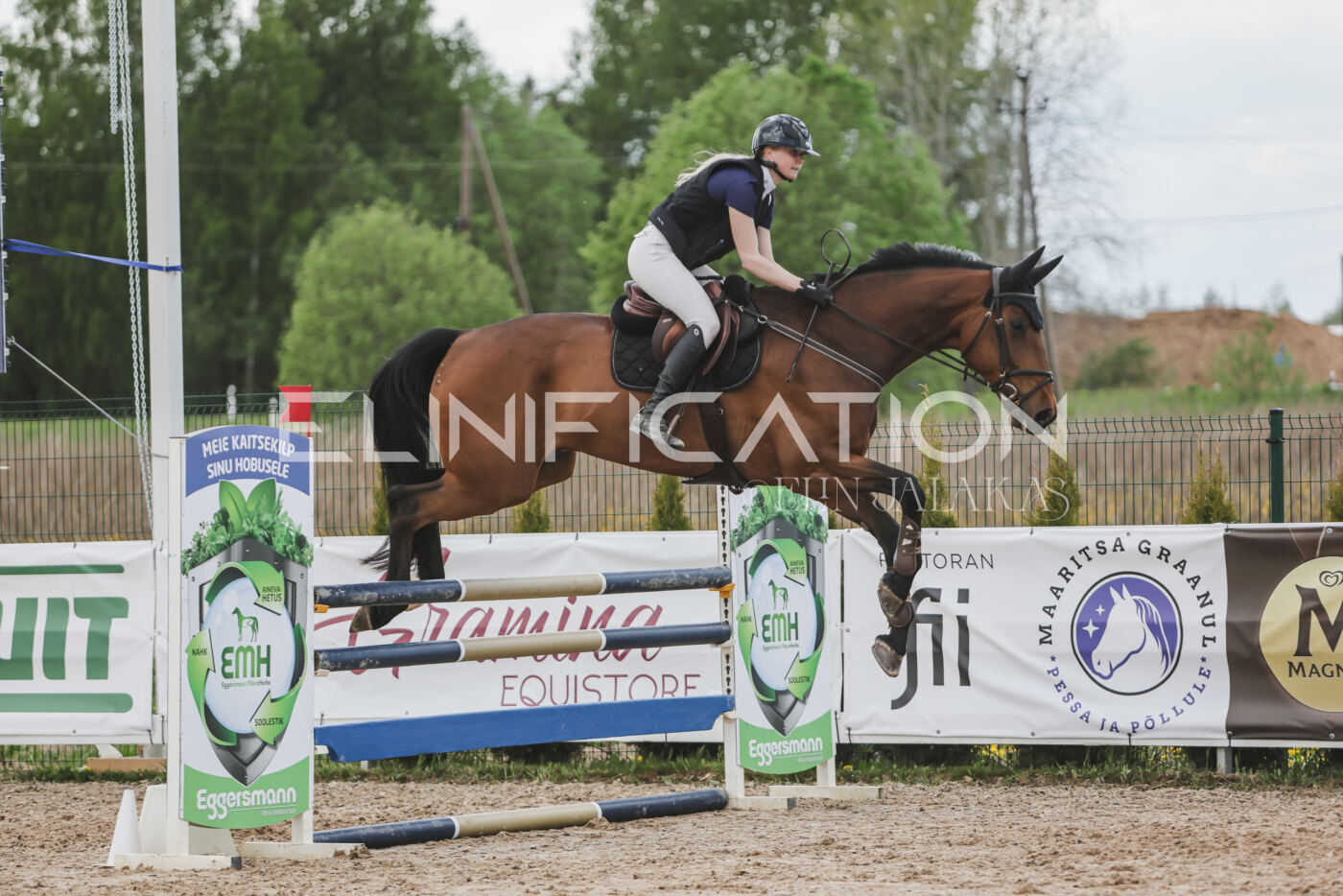 Gramina_Kevad_2026_110_605