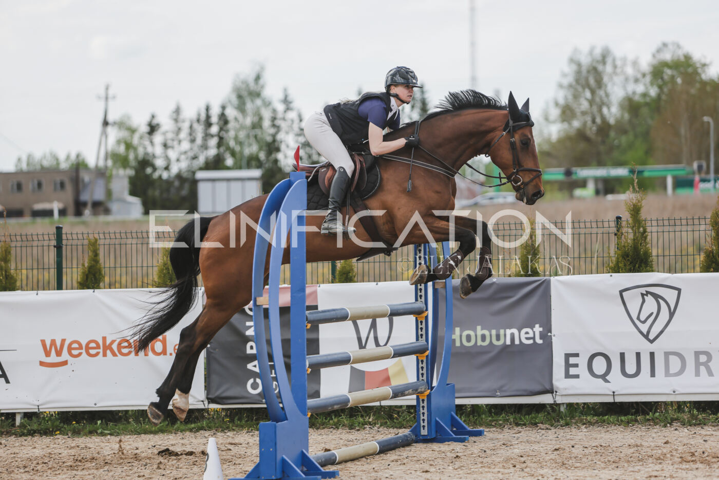 Gramina_Kevad_2026_110_606