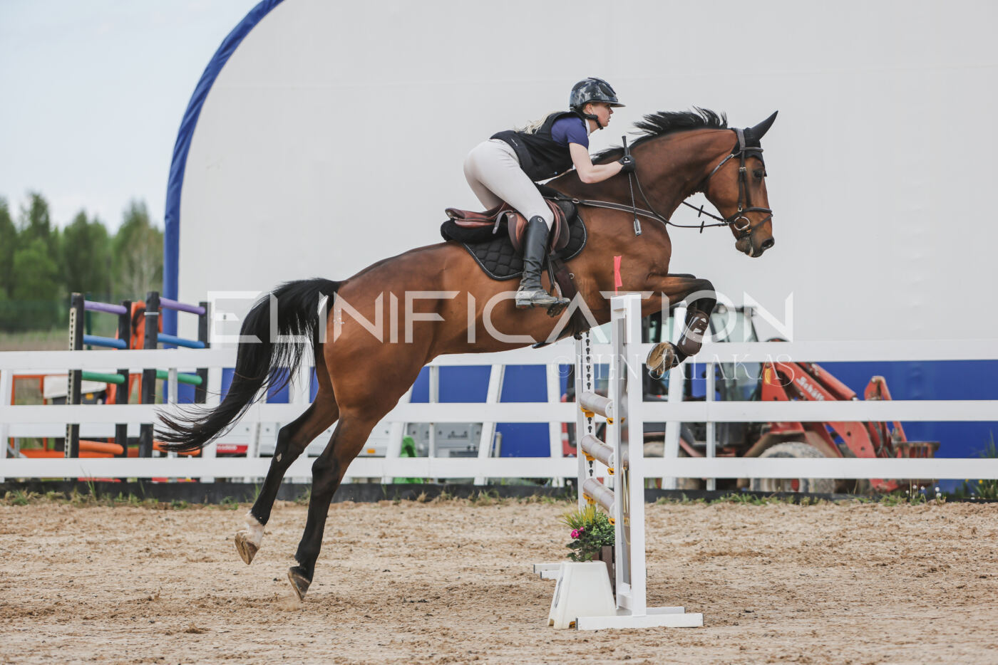 Gramina_Kevad_2026_110_608