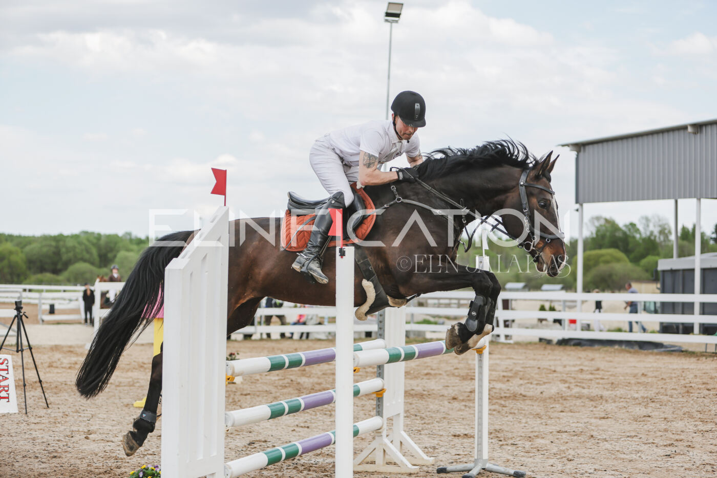 Gramina_Kevad_2026_110_612