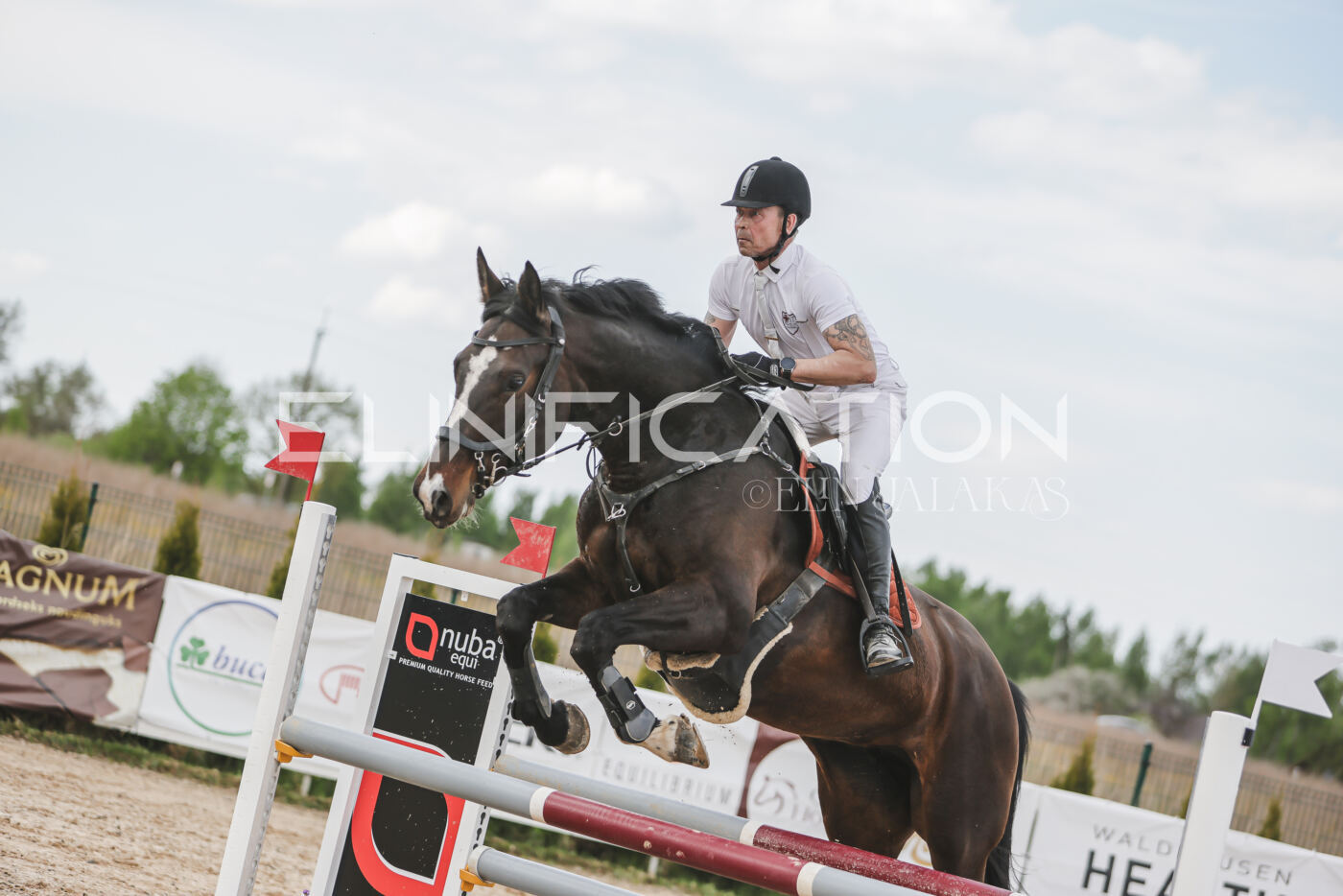 Gramina_Kevad_2026_110_614