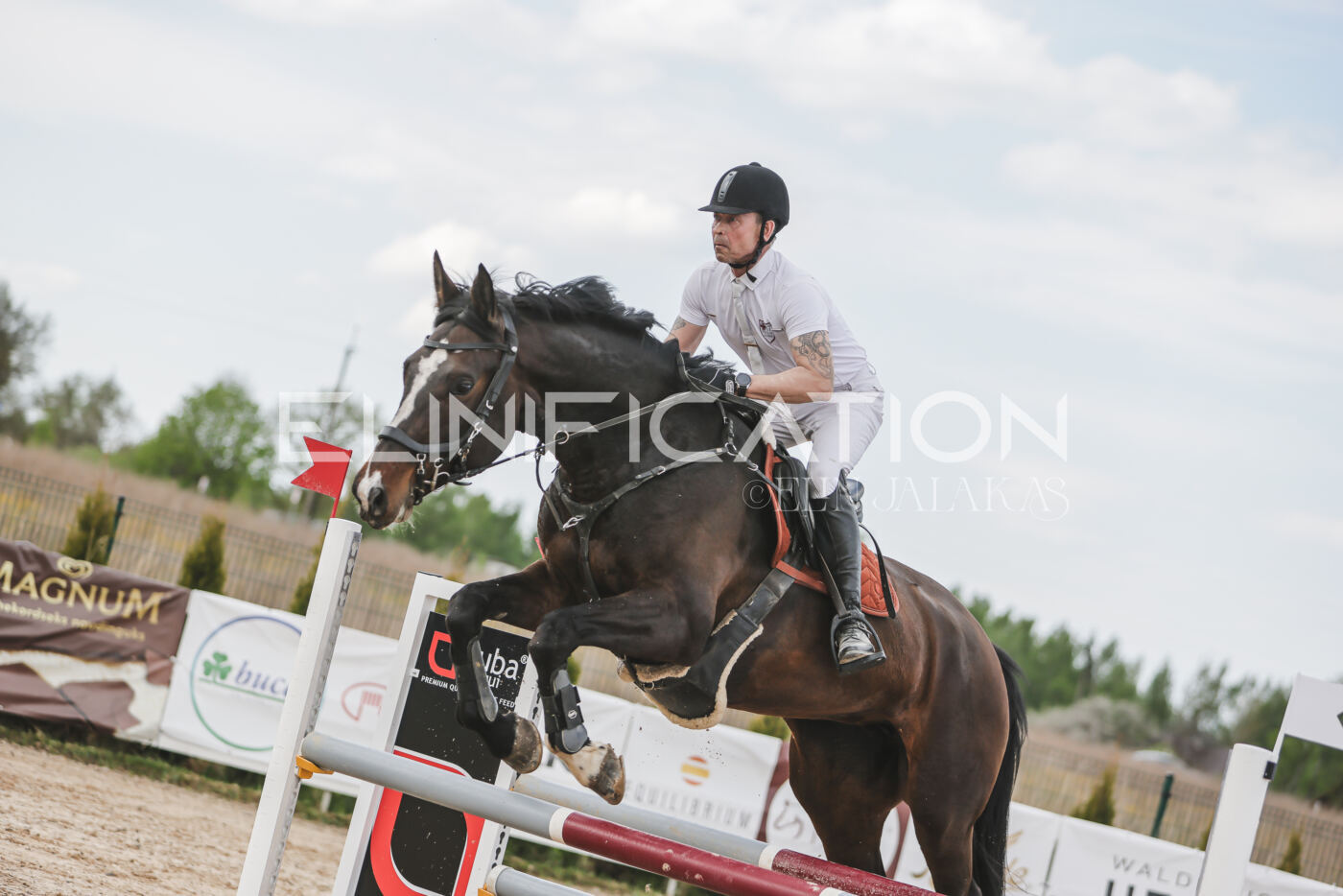 Gramina_Kevad_2026_110_615