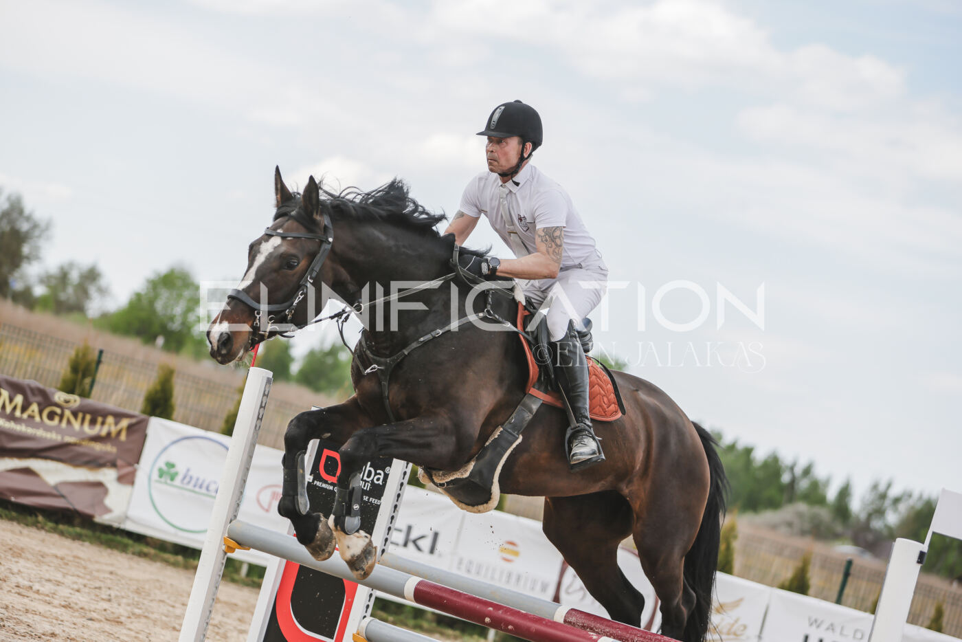 Gramina_Kevad_2026_110_616