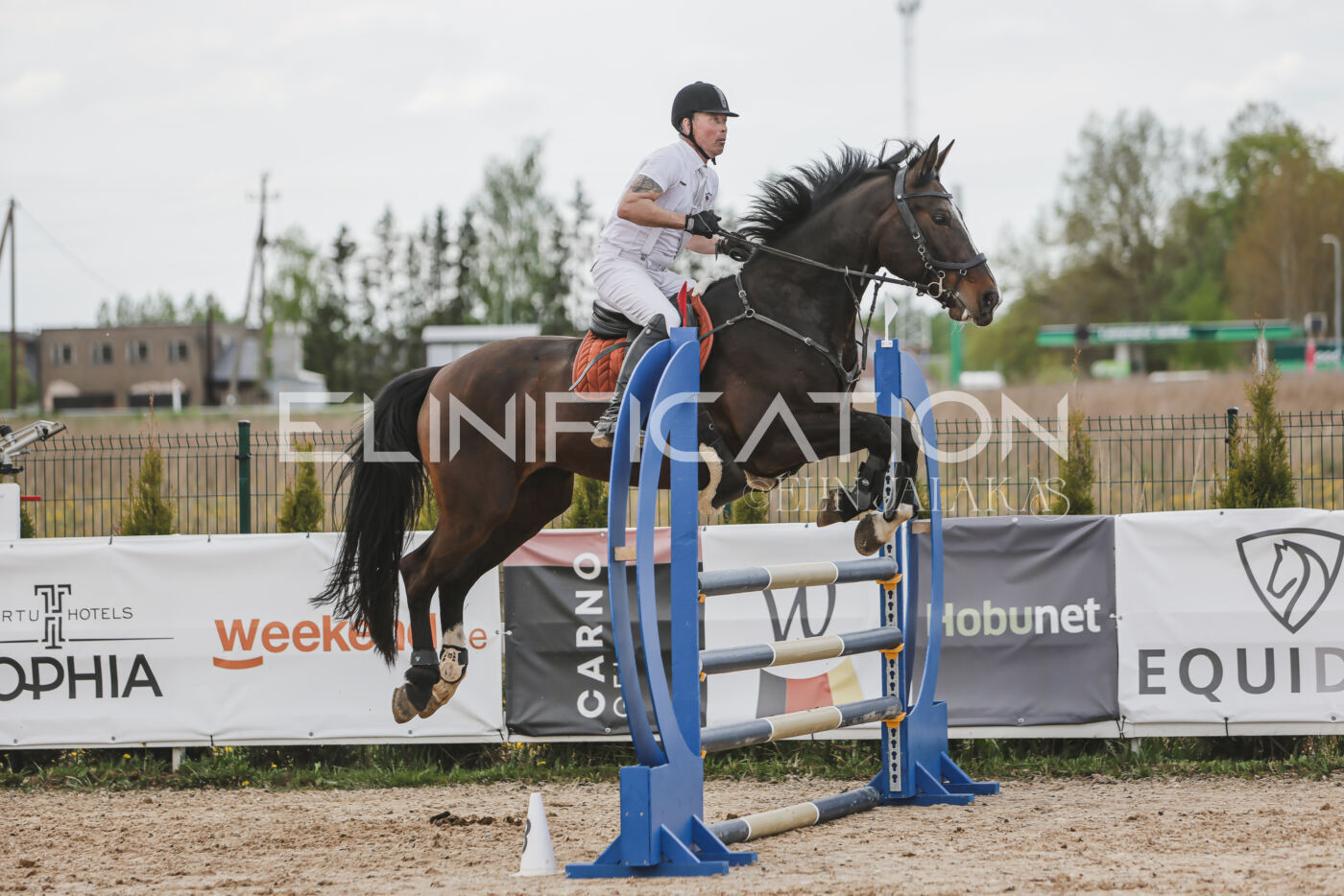 Gramina_Kevad_2026_110_618